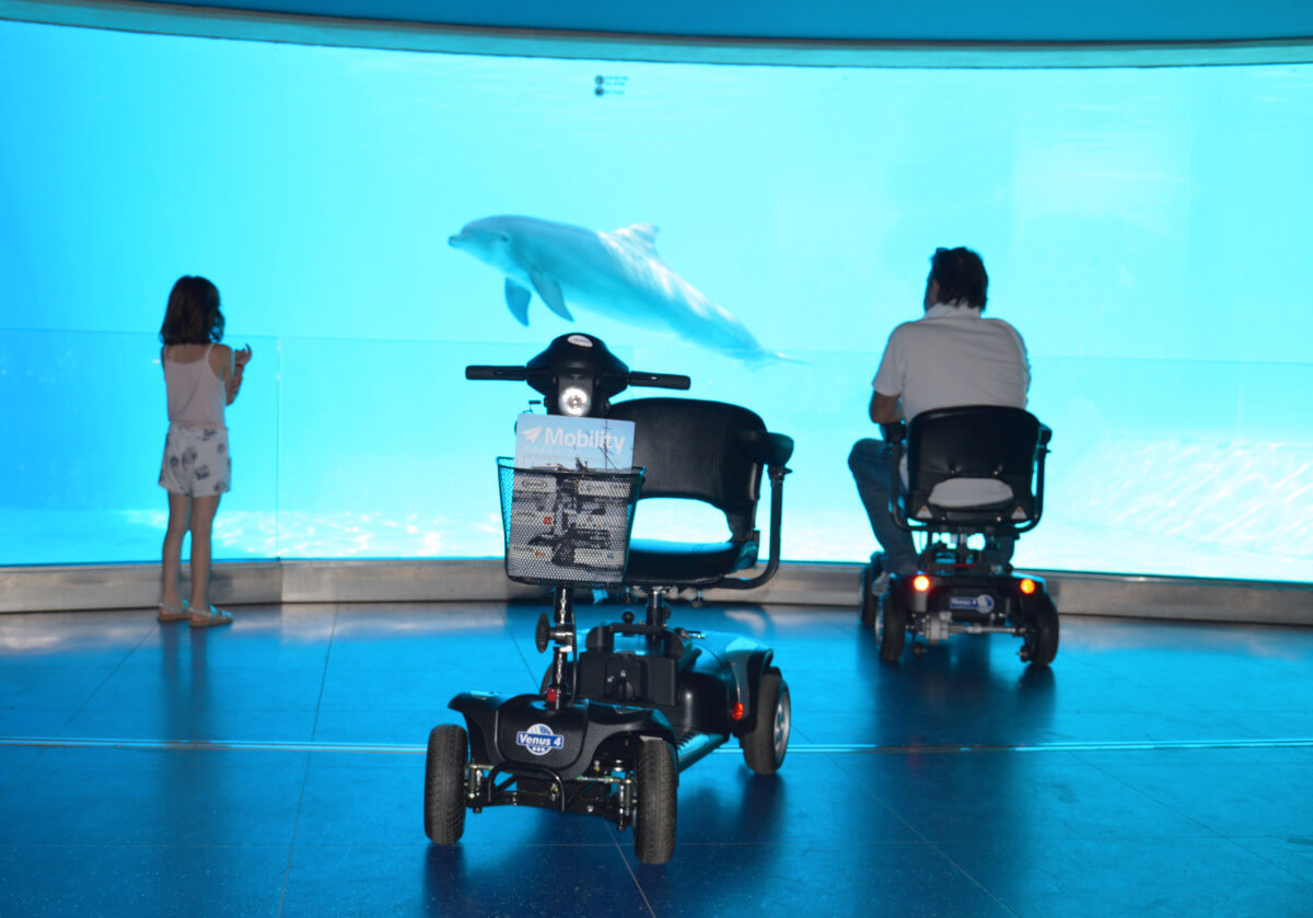 scooter con bambina e delfino_low